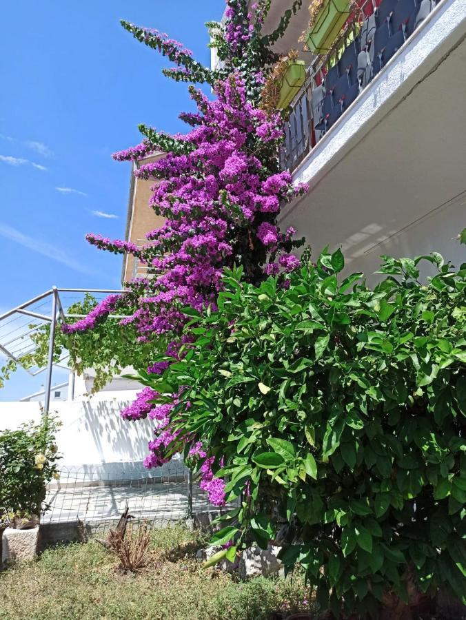 New! Apartment Terrazen Split - Free Car Parking Dış mekan fotoğraf